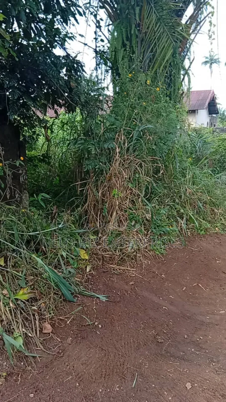 A Plot 100/50 
For Sale in Owerri