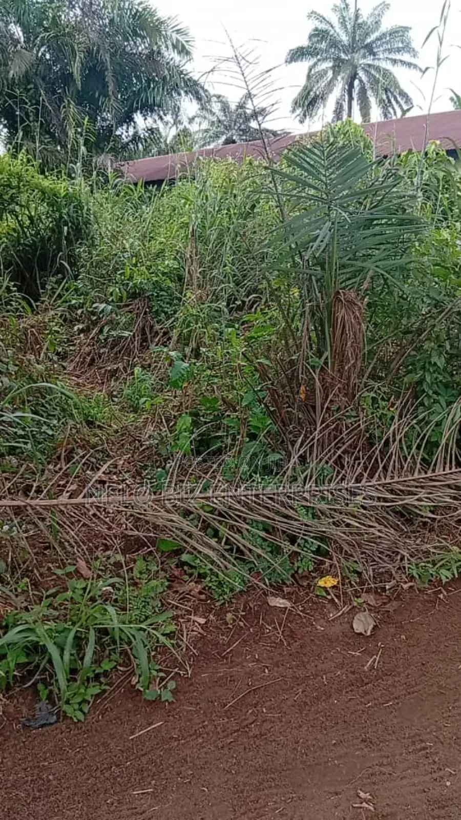 A Plot 100/50 
For Sale in Owerri