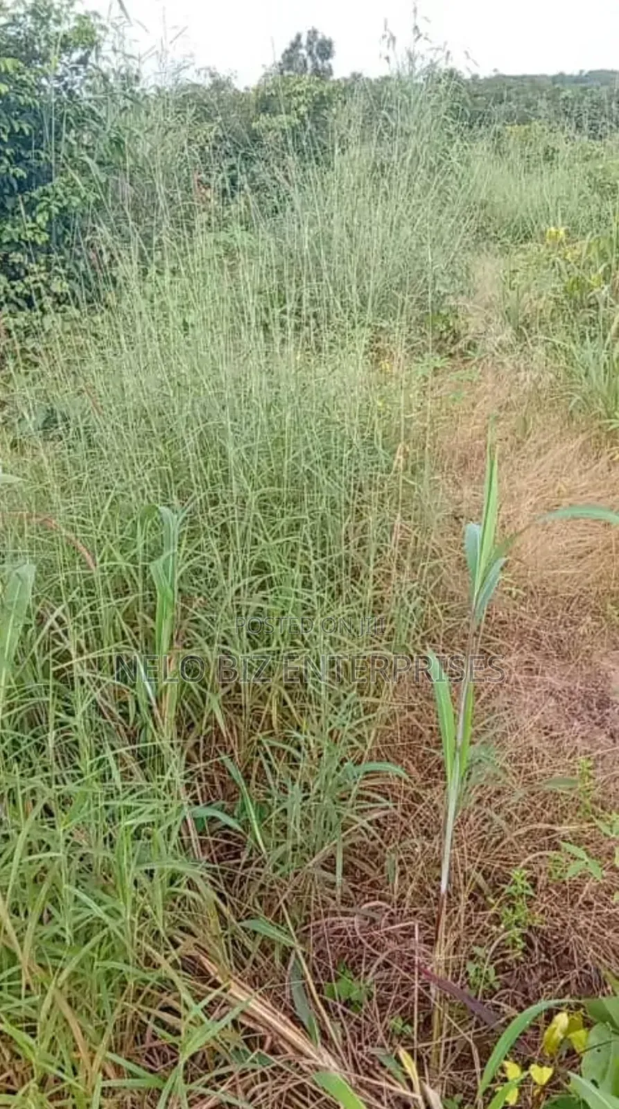 2 Plots Of Land For Sale in Owerri