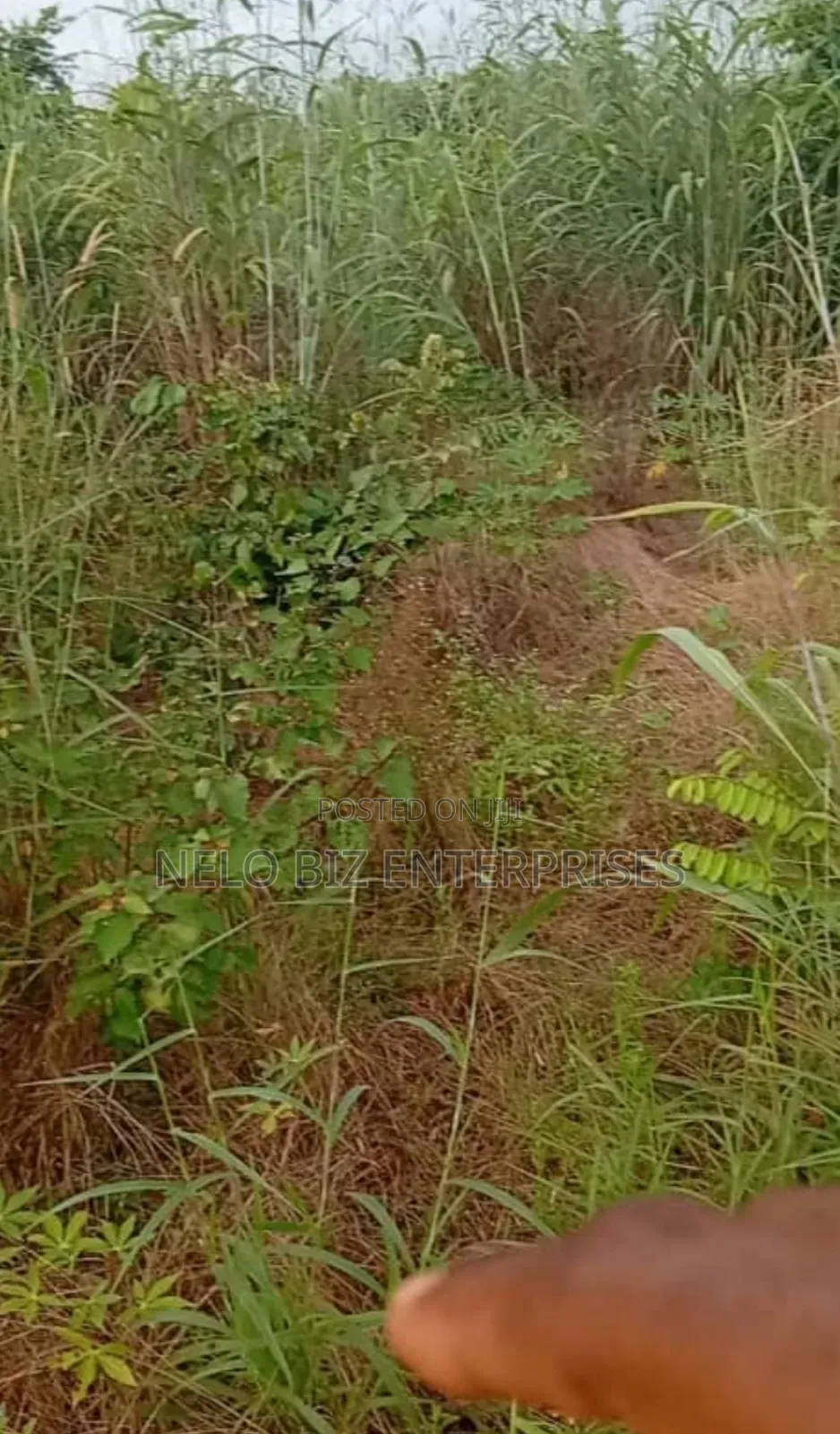 2 Plots Of Land For Sale in Owerri