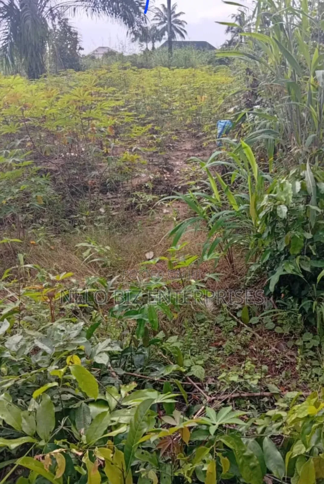 2 Plots Of Land For Sale in Owerri