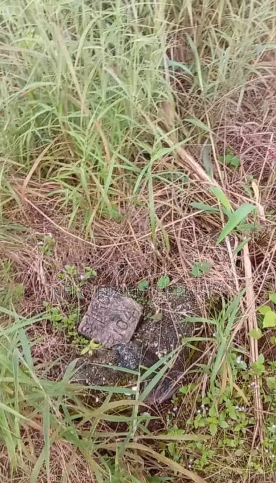2 Plots Of Land For Sale in Owerri