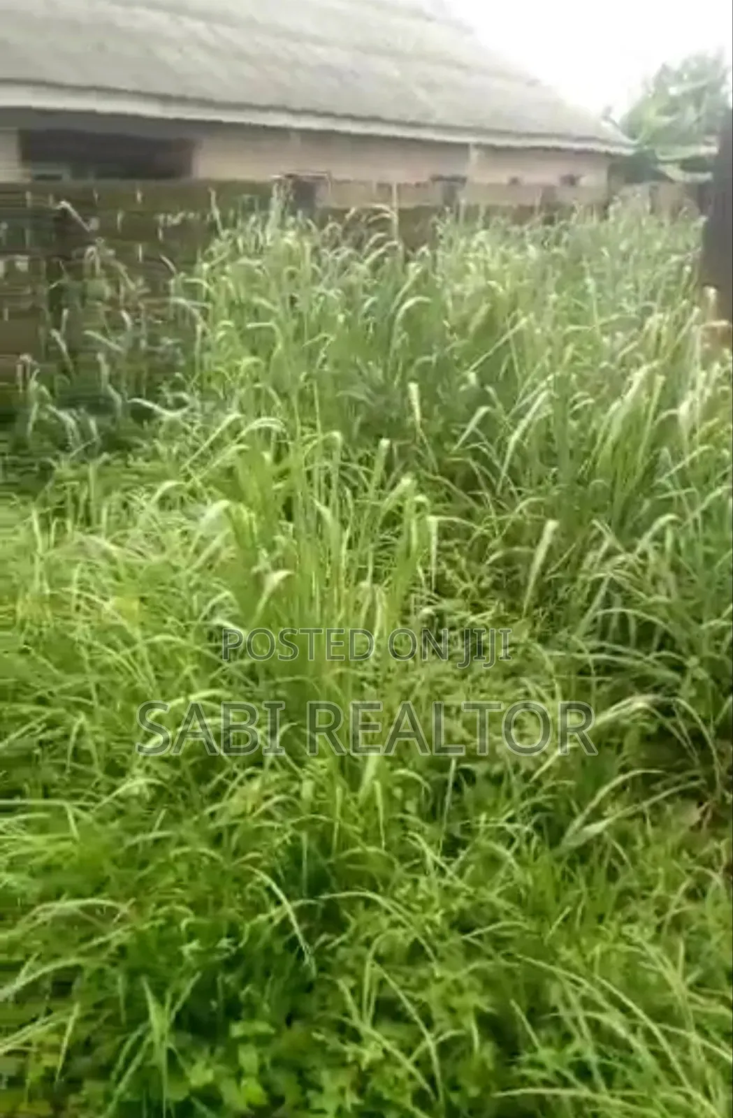 60*120feet of Land Fenced Gated at Ishefun Ayobo Close to Tarred Road in Ayobo
