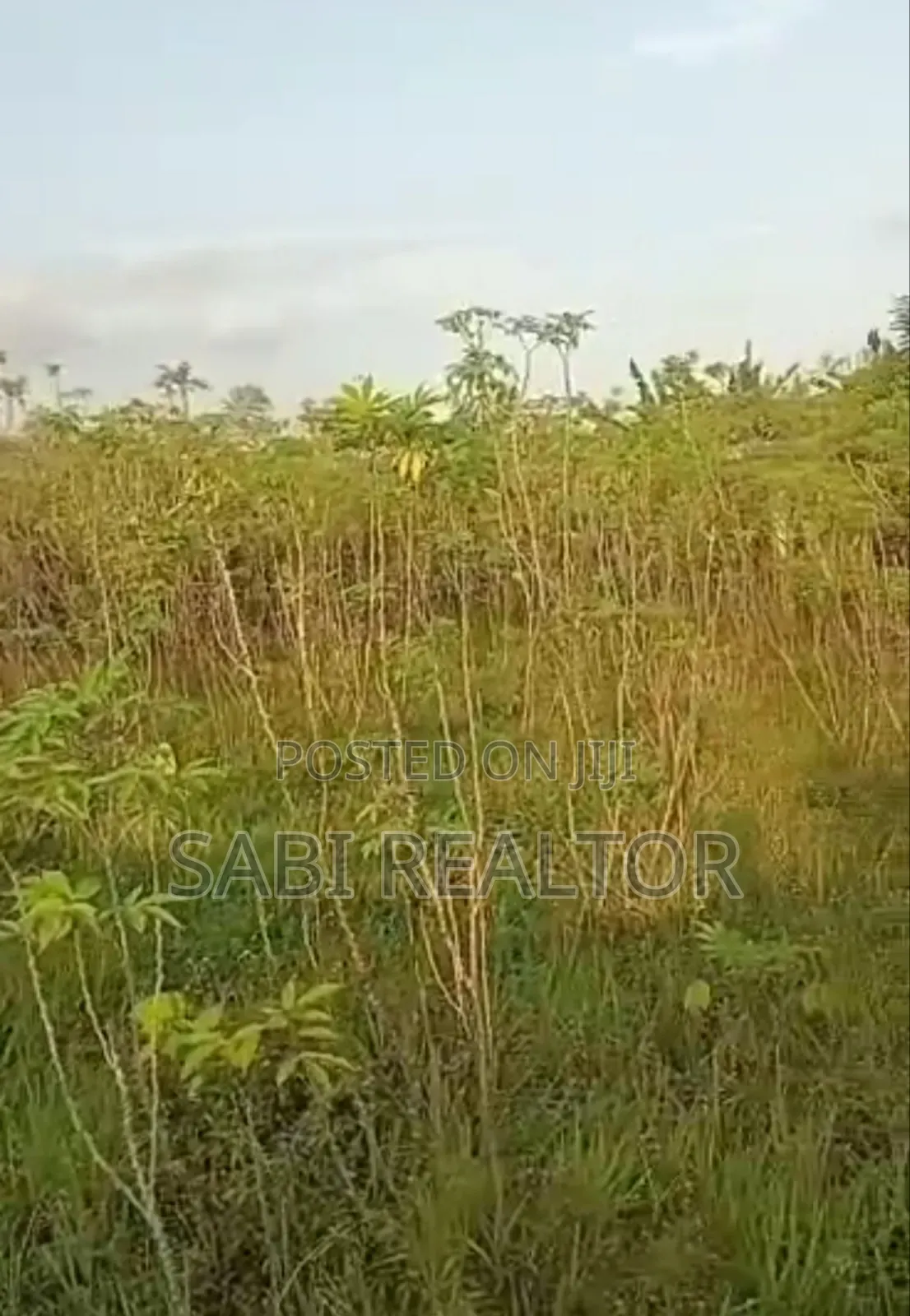 Residential Full Plot of Land at Ottun Junction, Ishefun, Ayobo, Lagos in Ayobo