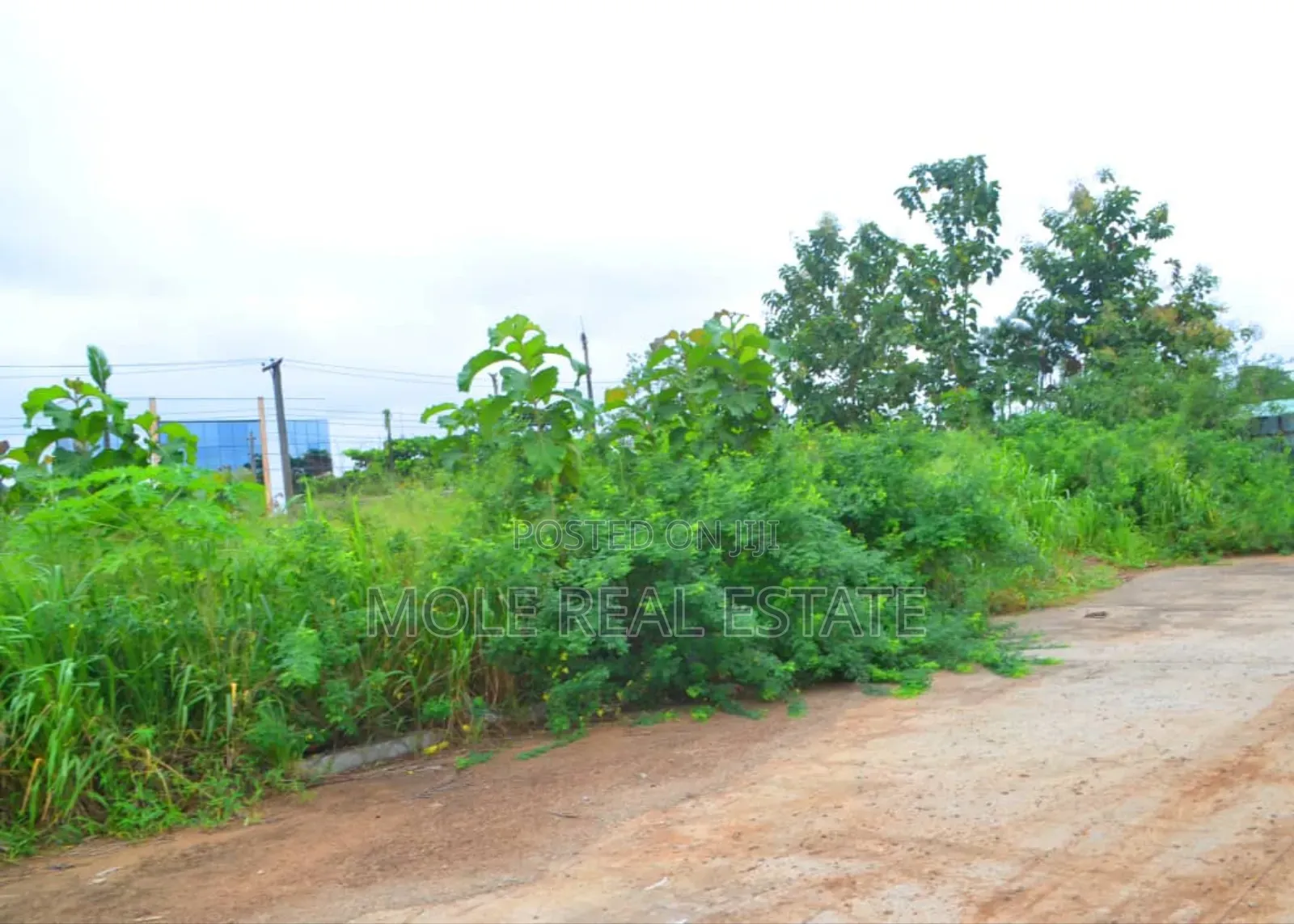 30ft by 120ft (Half Plot ) Baptist Bustop Ijegamo New Expressway in Ijegun