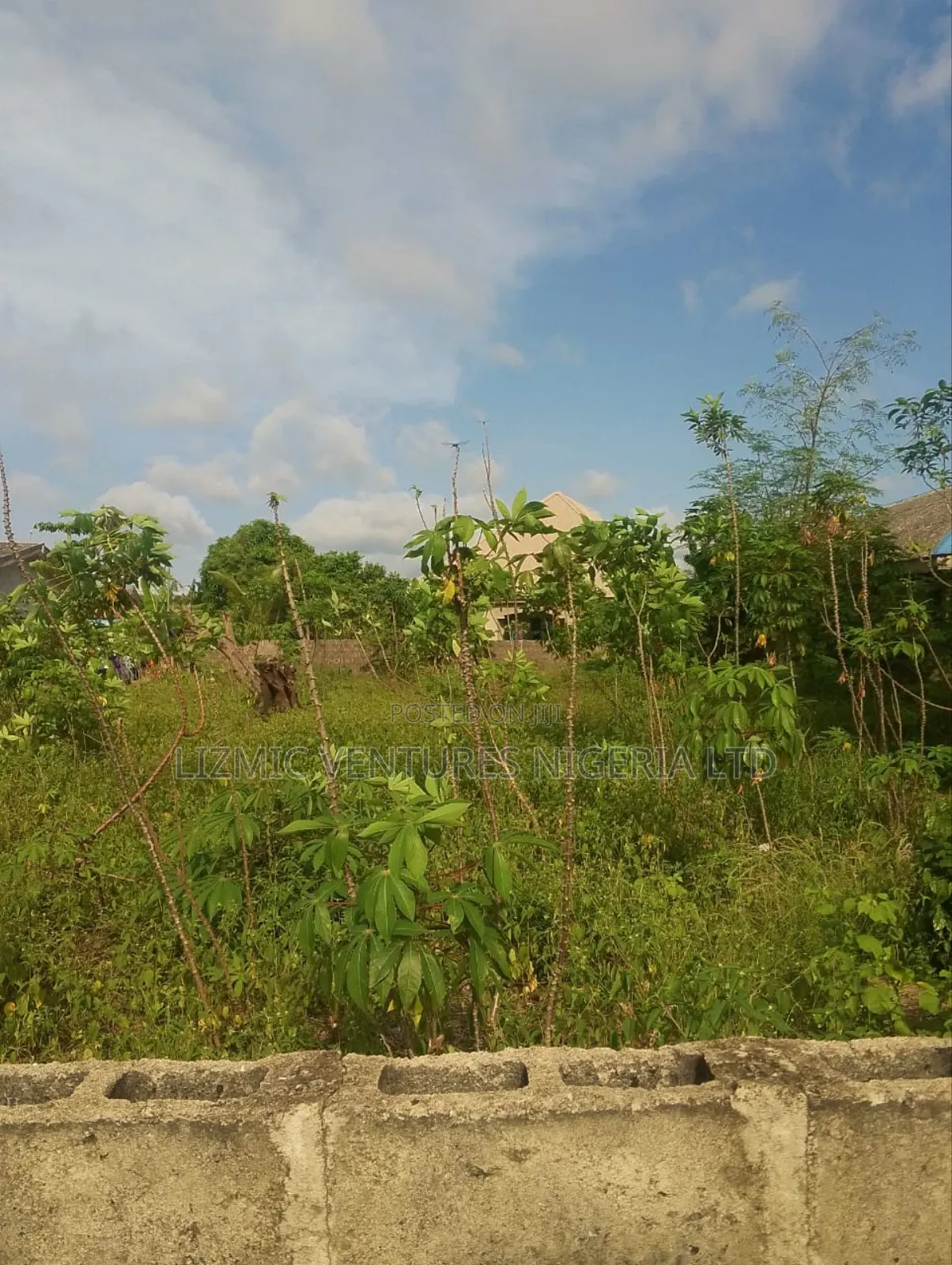 FLL Plot of Land for Sale in Ajido