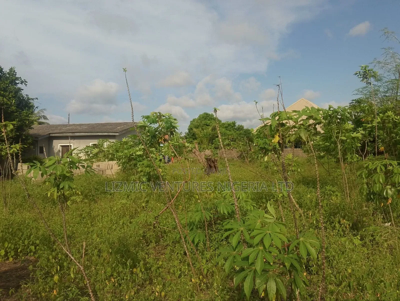 FLL Plot of Land for Sale in Ajido