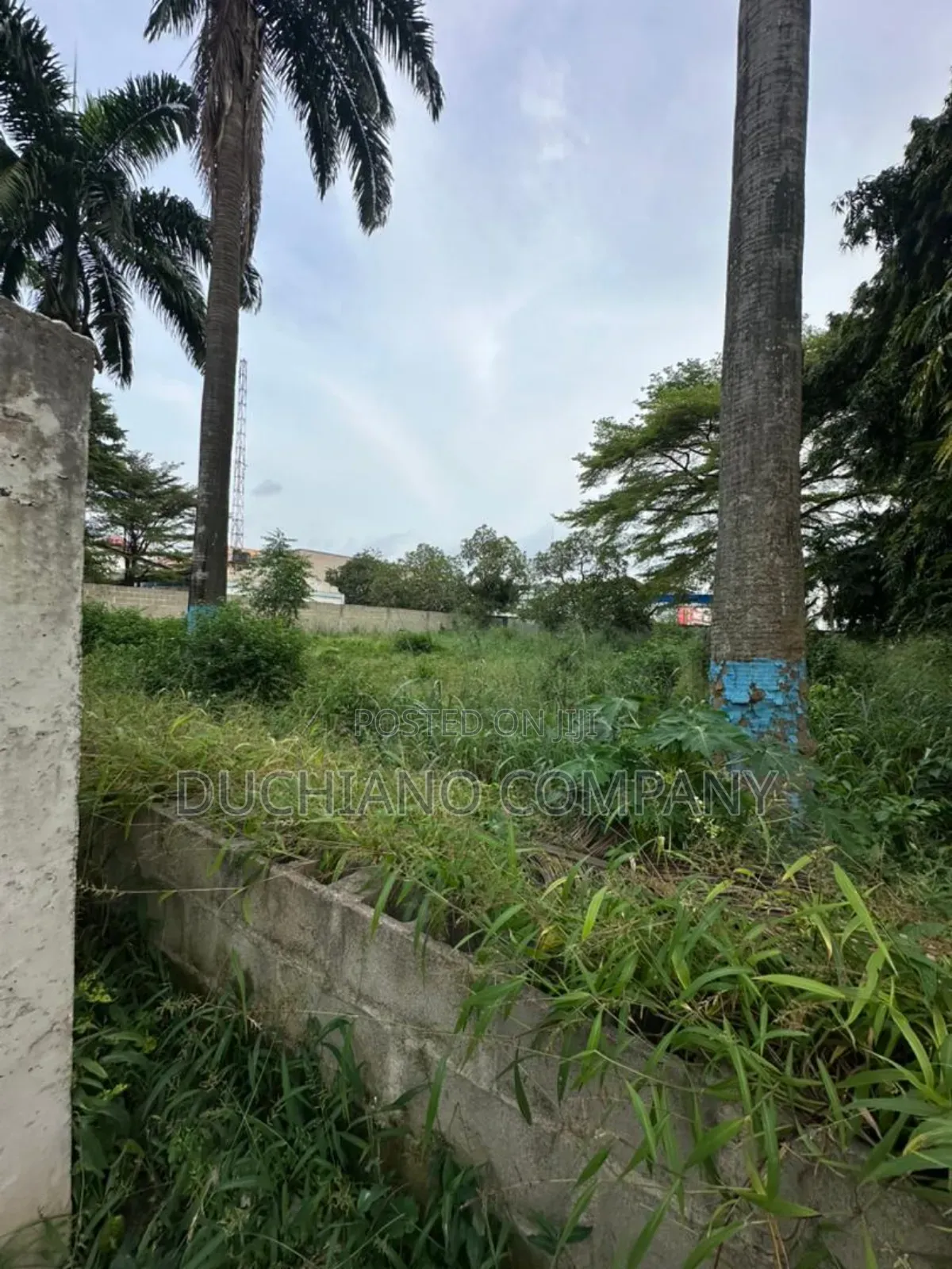 2,009 SQM on Lateef Jakande Road, Ikeja in Agidingbi