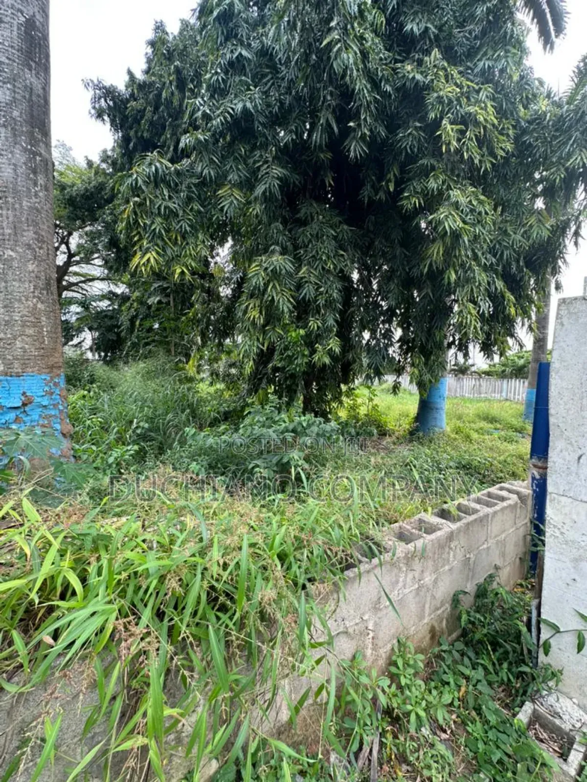 2,009 SQM on Lateef Jakande Road, Ikeja in Agidingbi