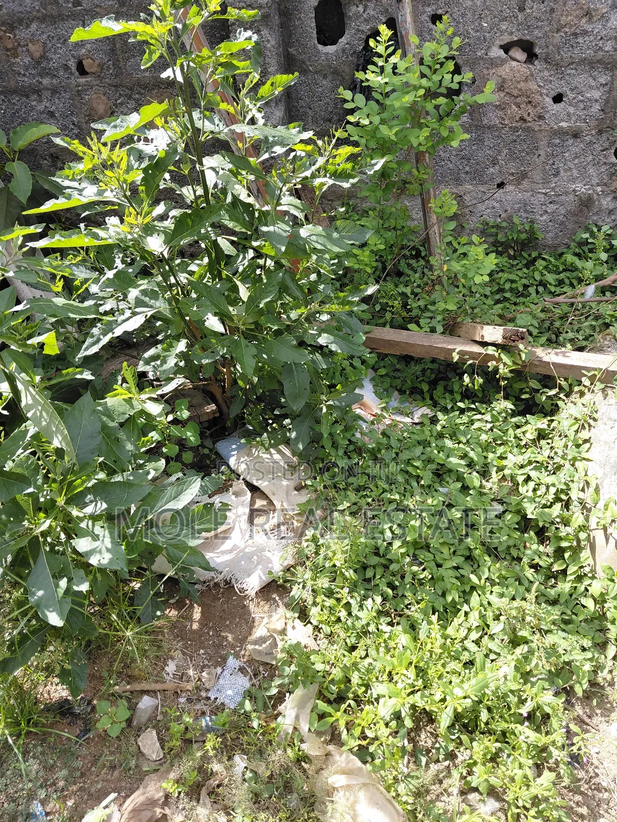 1,300sqm (2 Plots ) Facing 2 Streets Ijegun Ikotun Axis in Ijegun
