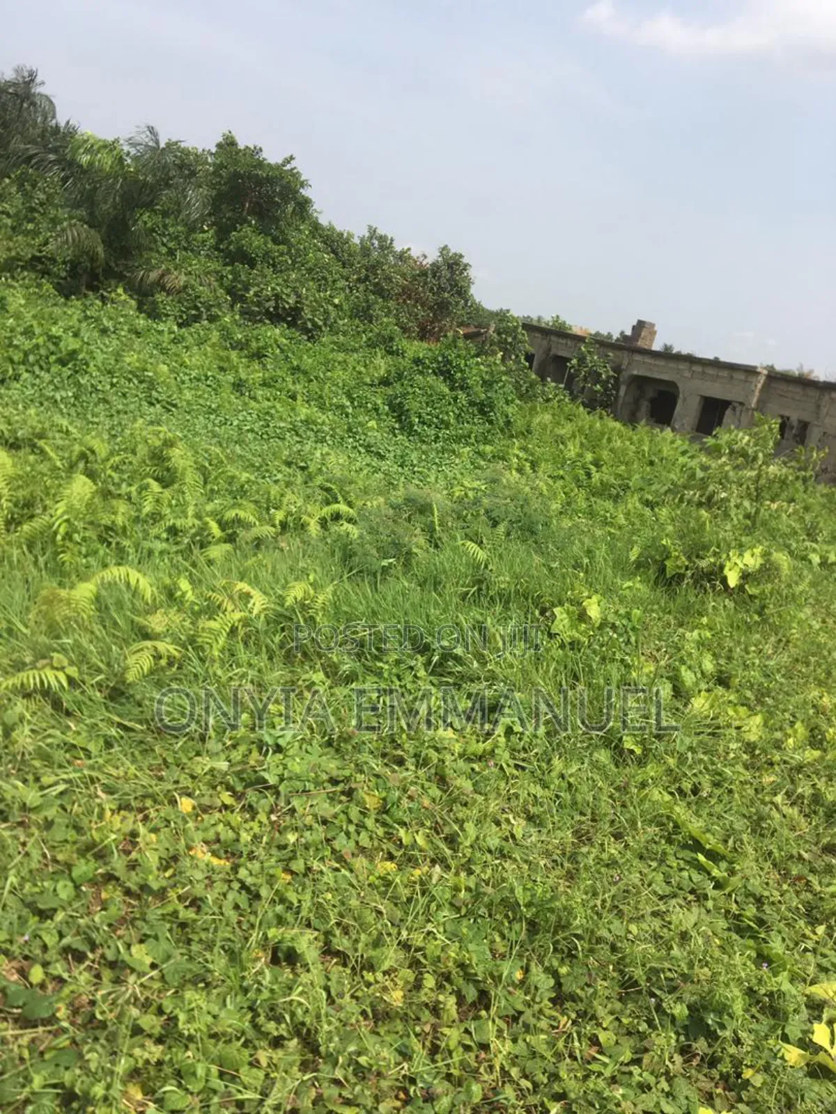 Plot of Land for Sale in Mile 12