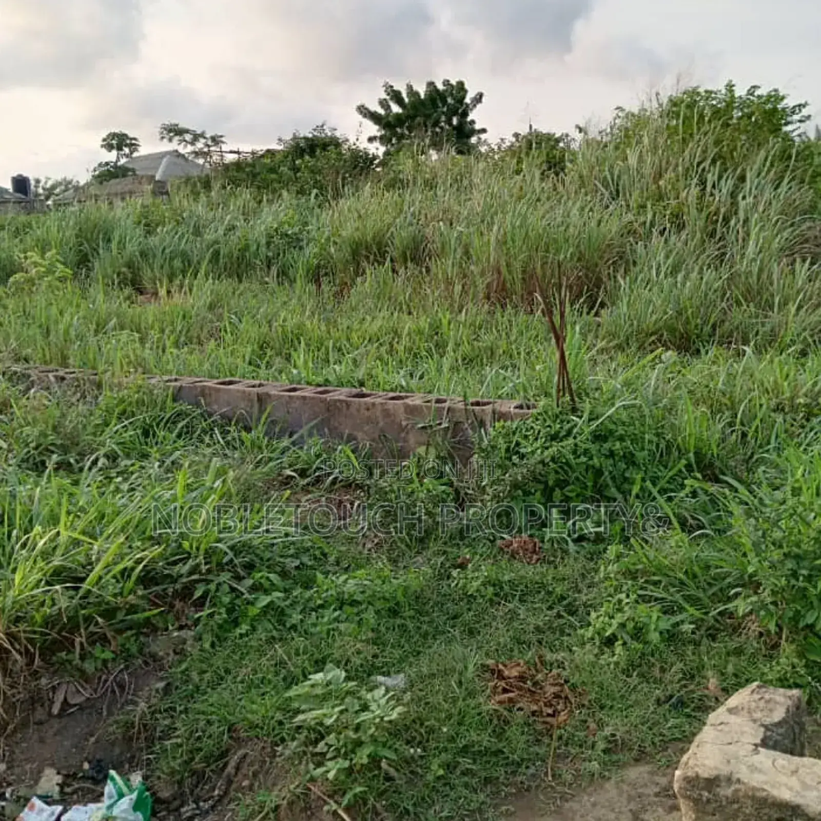 2 Half Plot of Dry Land at Okeore Ogun State in Ifo