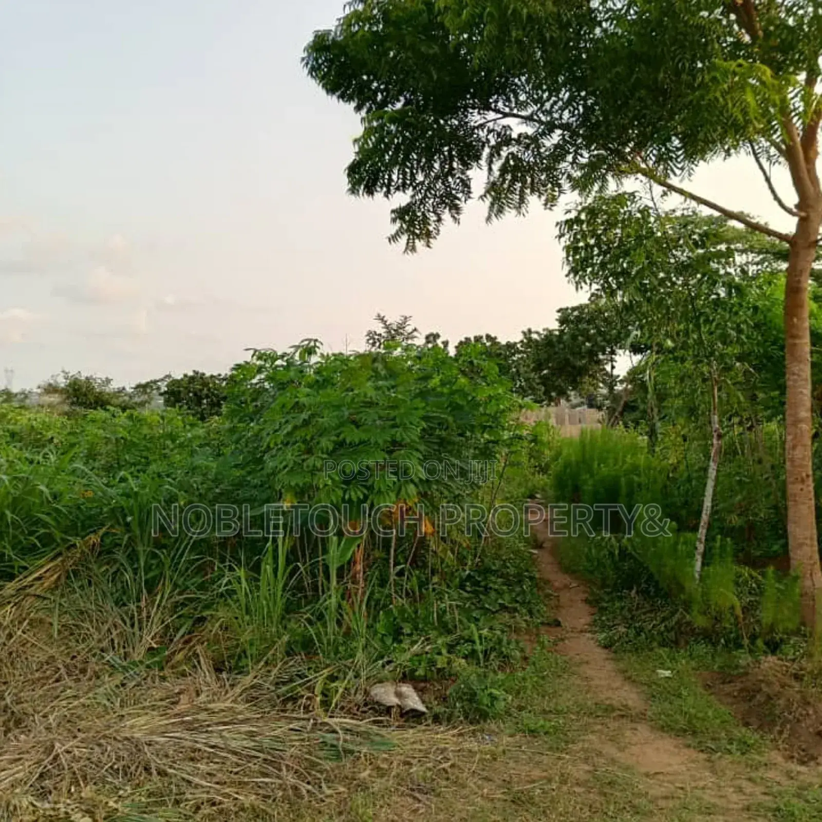 2 Half Plot of Dry Land at Okeore Ogun State in Ifo