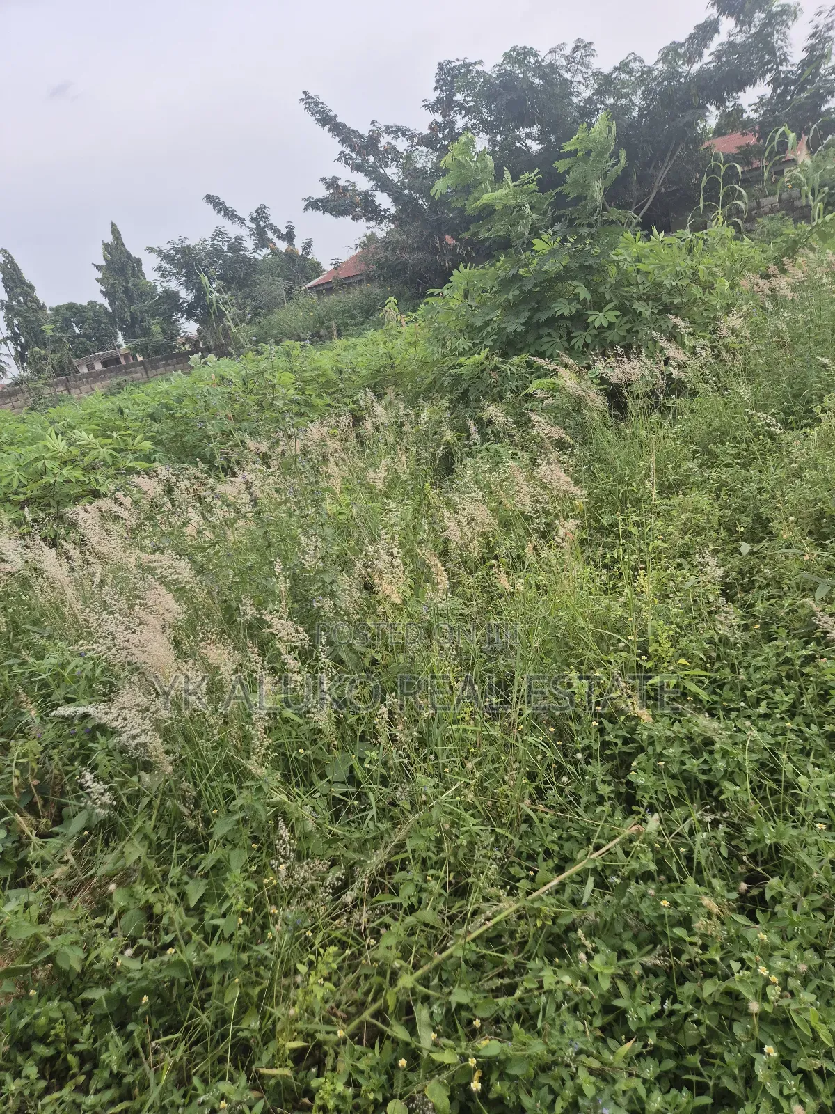 Allocation Paper and Deed of Assignment in Ilorin South
