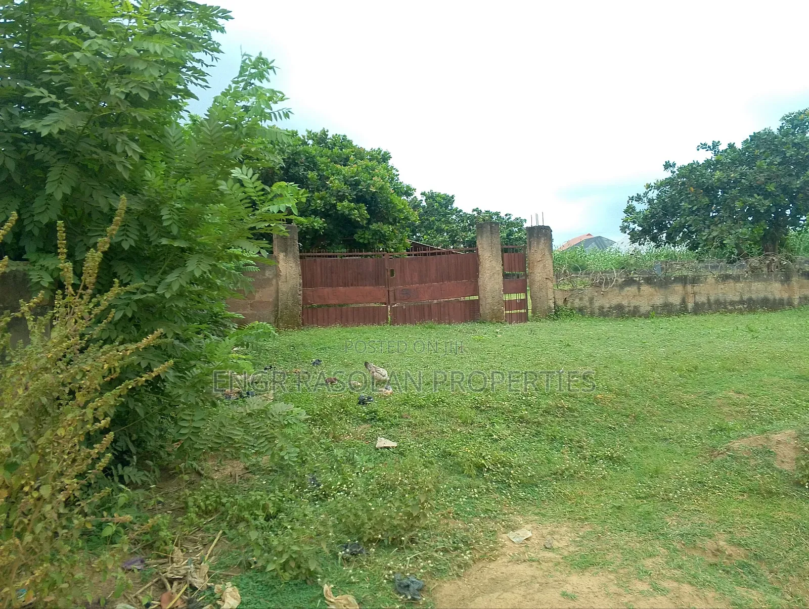 Land Fir for Sale 8 Plots in Ifelodun-Kwara