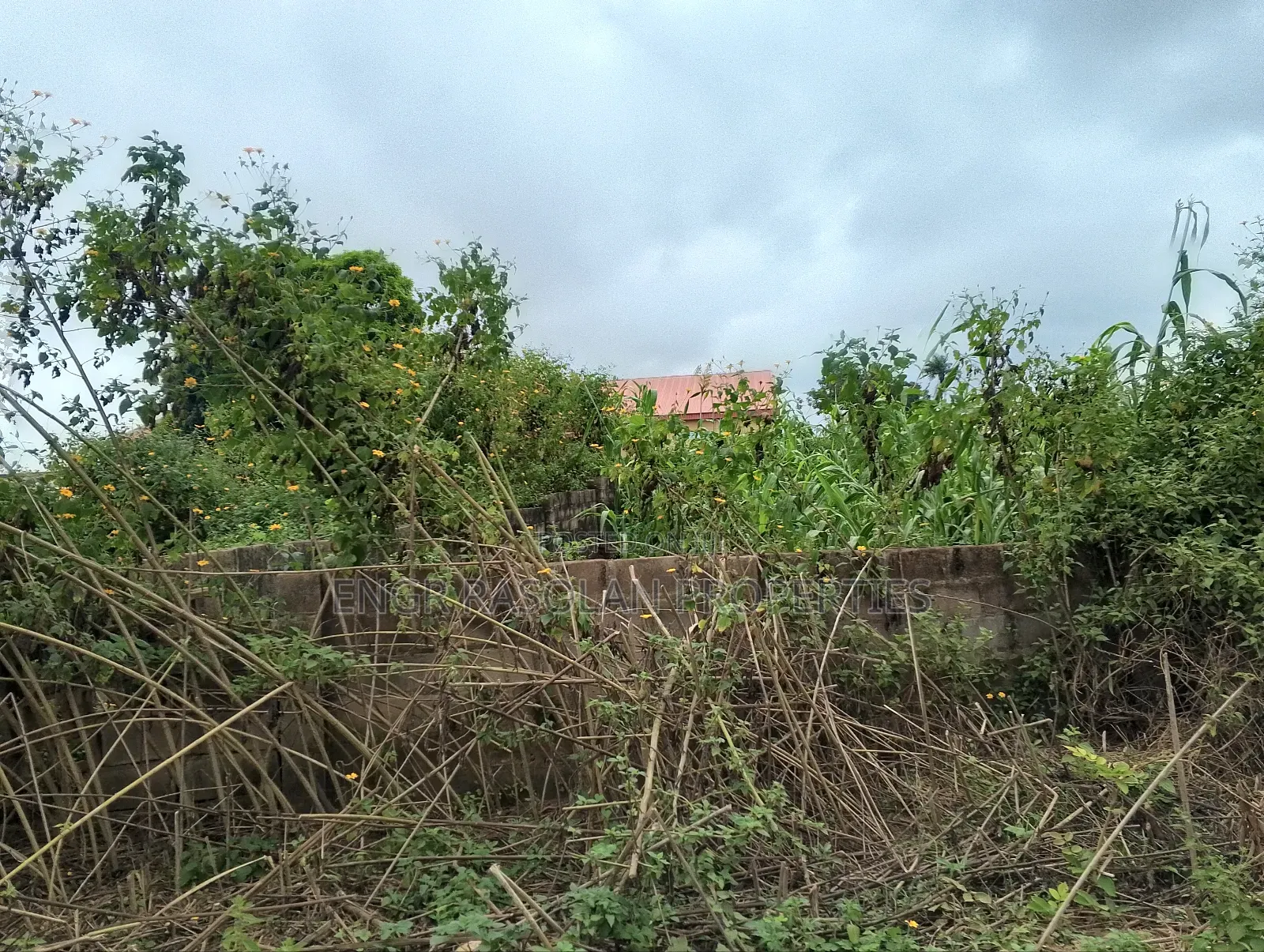 Land Fir for Sale 8 Plots in Ifelodun-Kwara