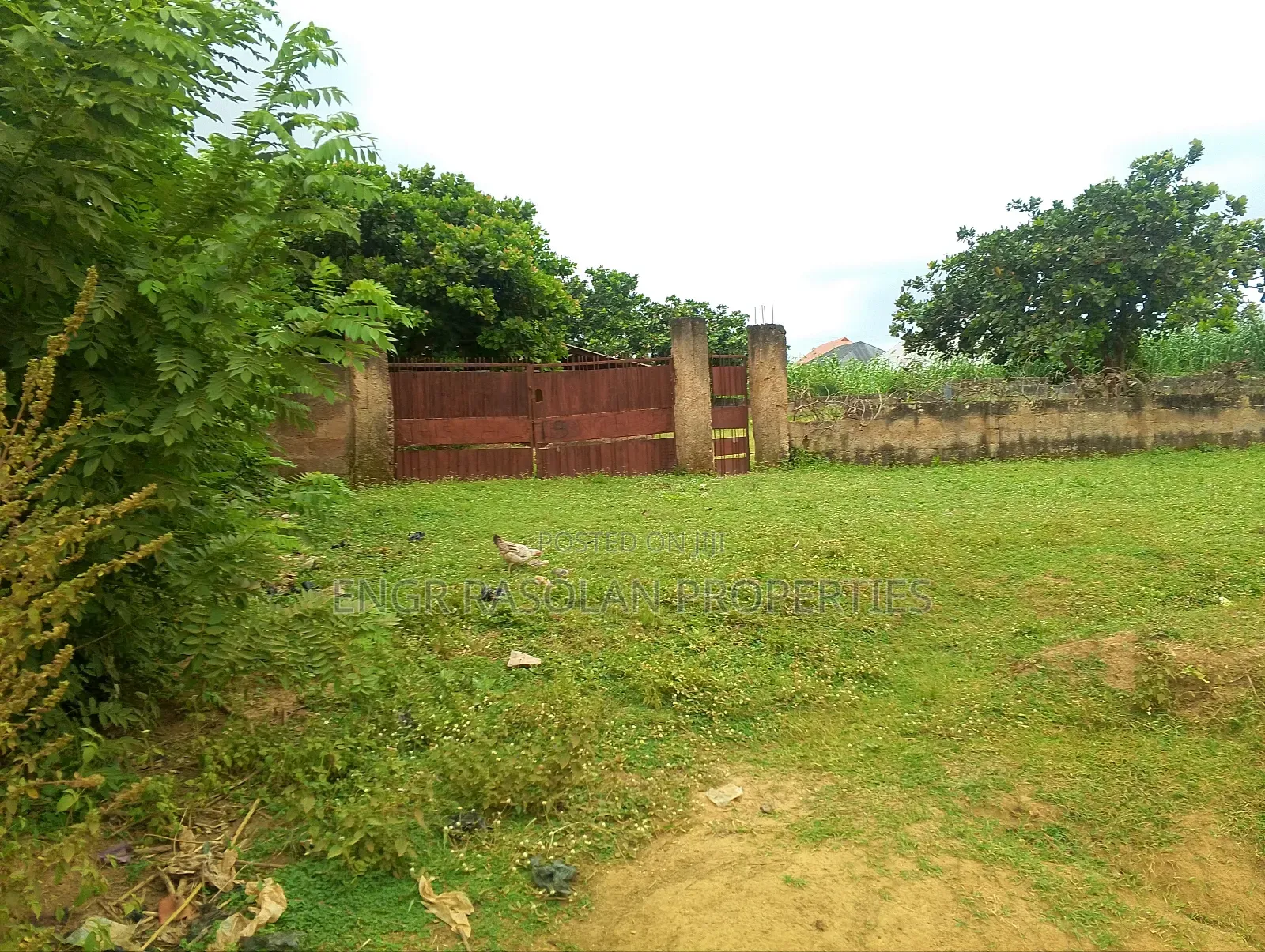 Land Fir for Sale 8 Plots in Ifelodun-Kwara