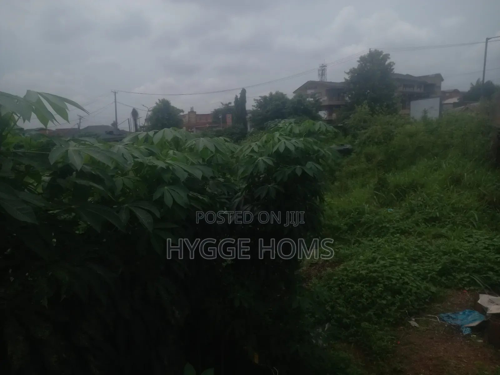 250sqm Land at Maplewood Estate in Oko-Oba