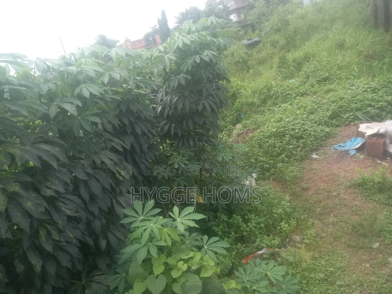 250sqm Land at Maplewood Estate in Oko-Oba