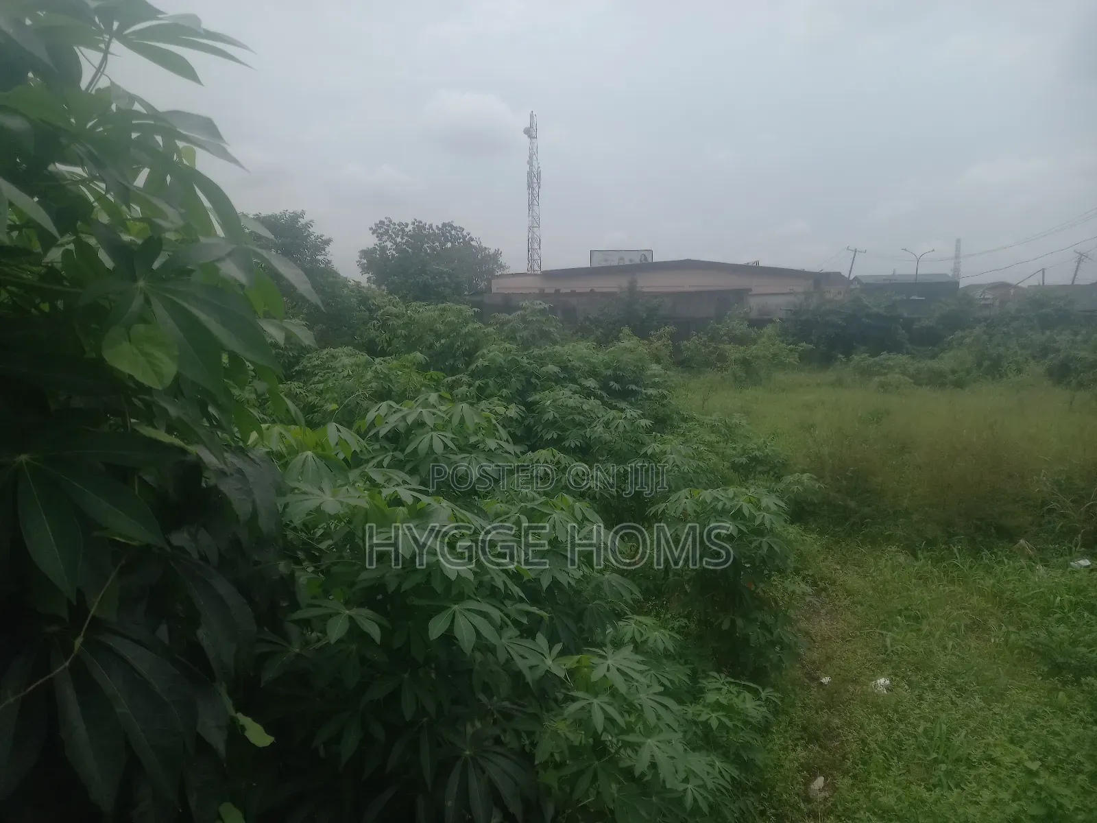 Full Plot of Land Maplewood Estate Virgin Land in Oko-Oba