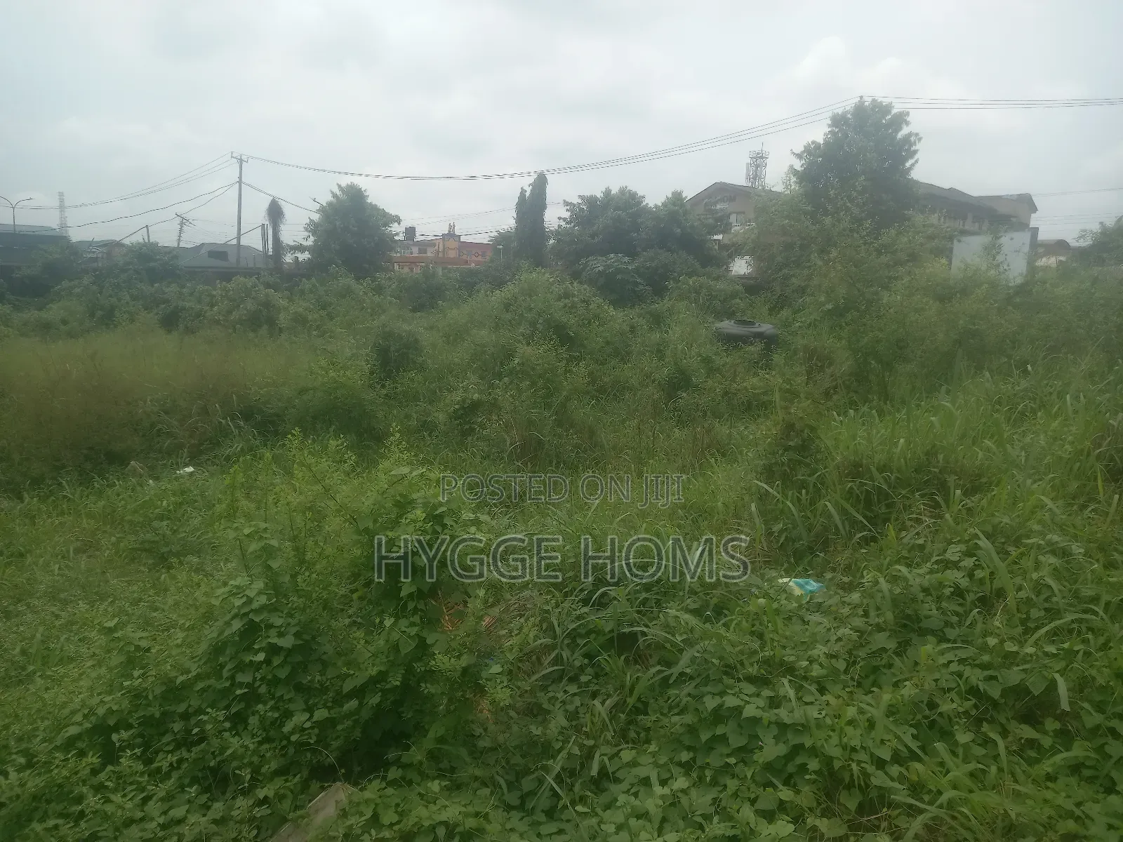Full Plot of Land Maplewood Estate Virgin Land in Oko-Oba