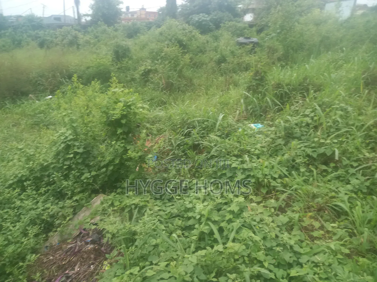 Full Plot of Land Greenhill Estate in Oko-Oba