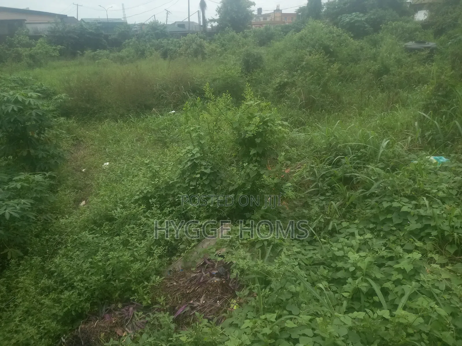 Full Plot of Land Greenhill Estate in Oko-Oba