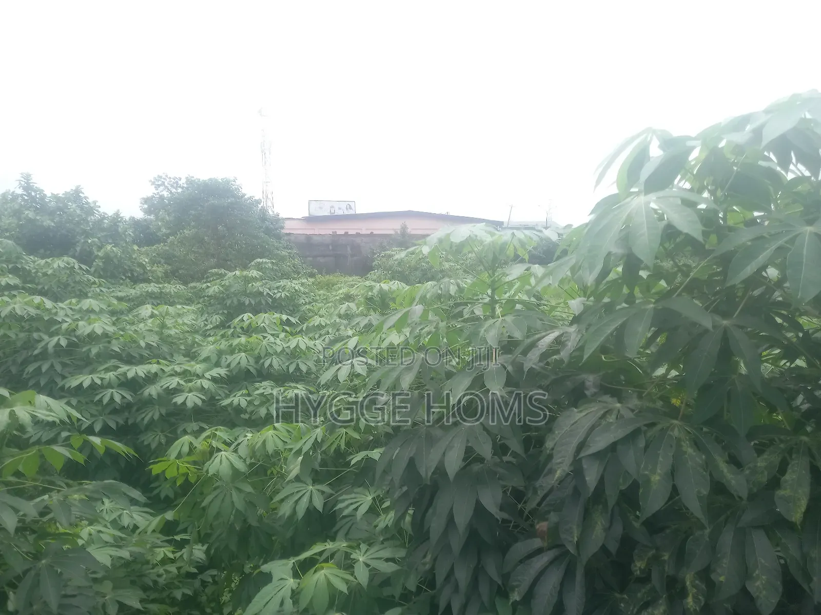 Full Plot of Land Greenhill Estate in Oko-Oba