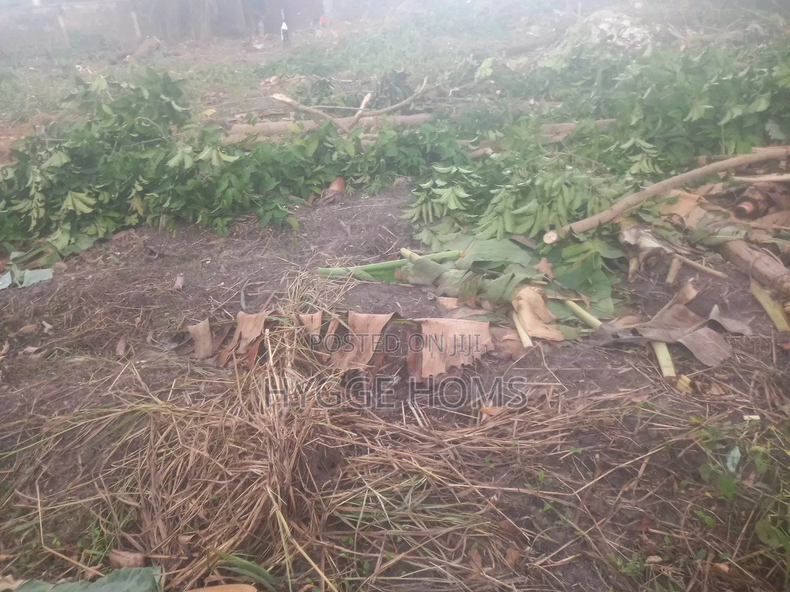 676sqm Full Plot of Land Labak Estate Cofo in Oko-Oba
