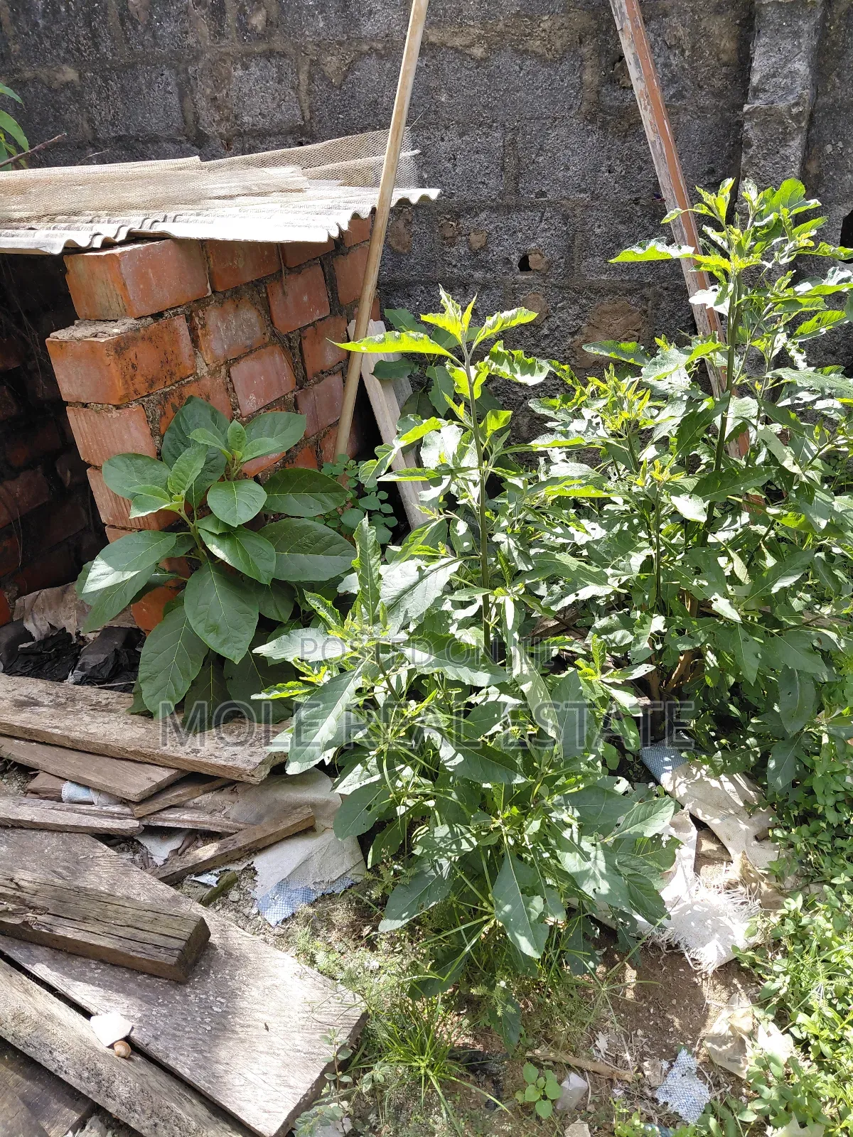 1000sqm ( 2 Plots) Joint Venture Allen Avenue Ikeja in Allen Avenue