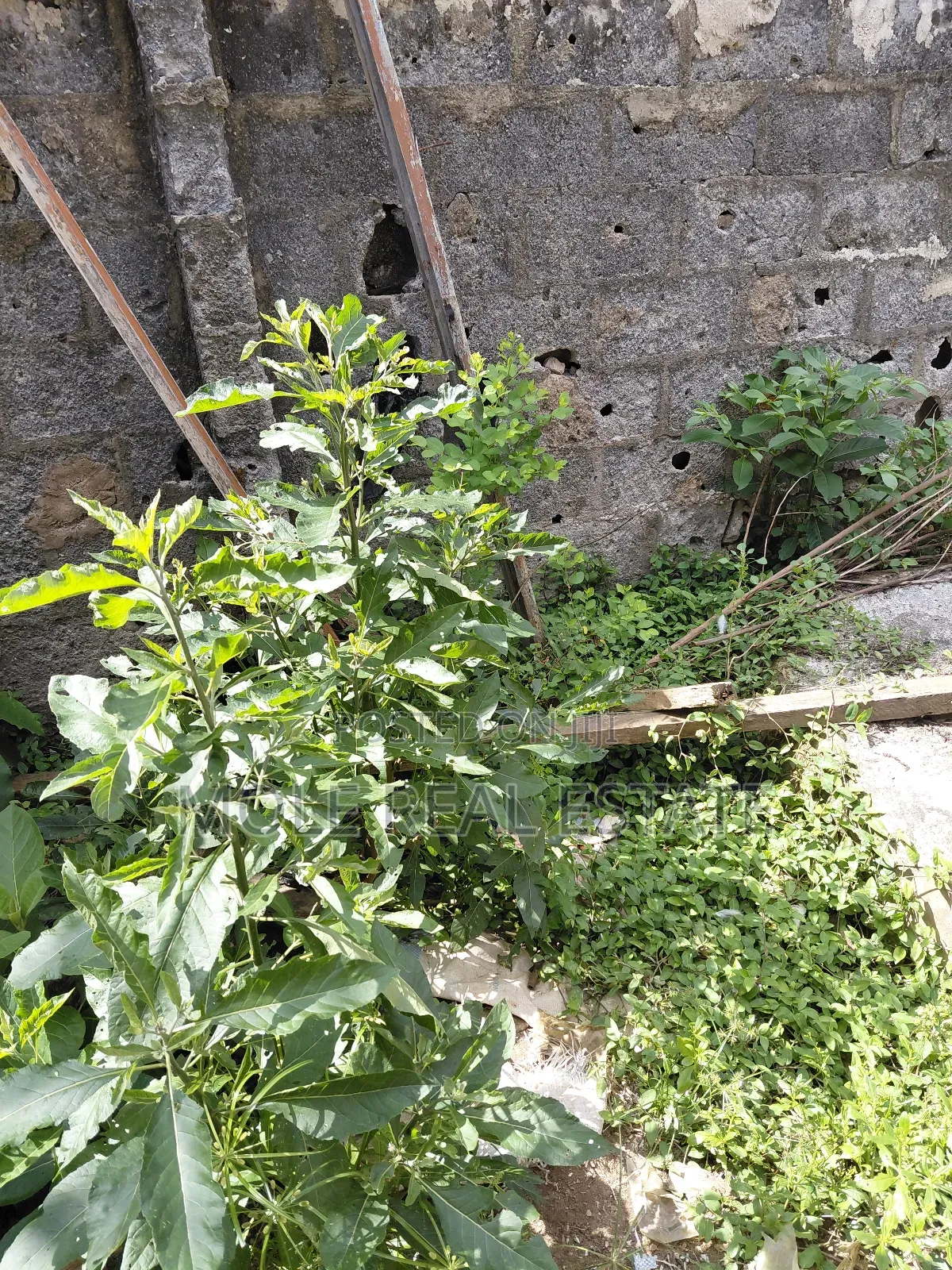 1820sqm (3 Plots ) Commercial Facing Akowonjo Rd Egbeda in Akowonjo