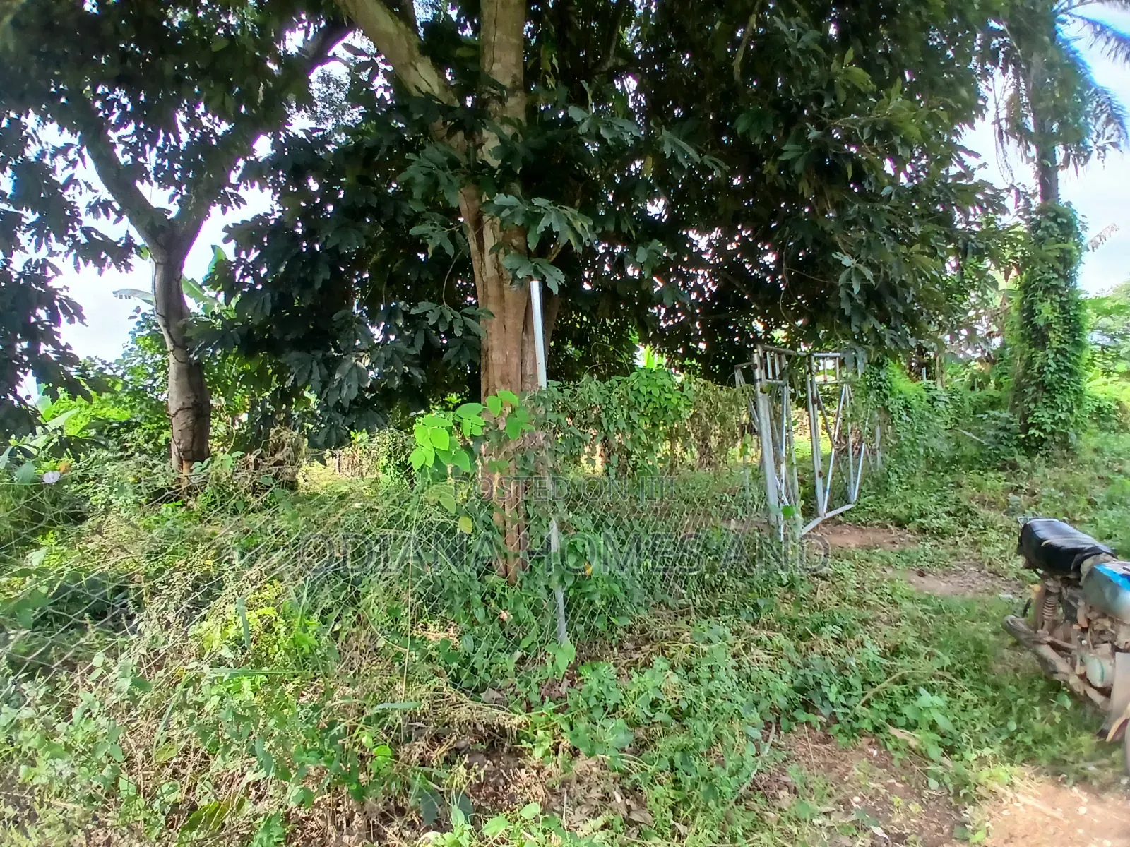 7.5 Acres Wire Fenced With Plantain Stands for Sale at Akufo, Ido Road in Ibadan