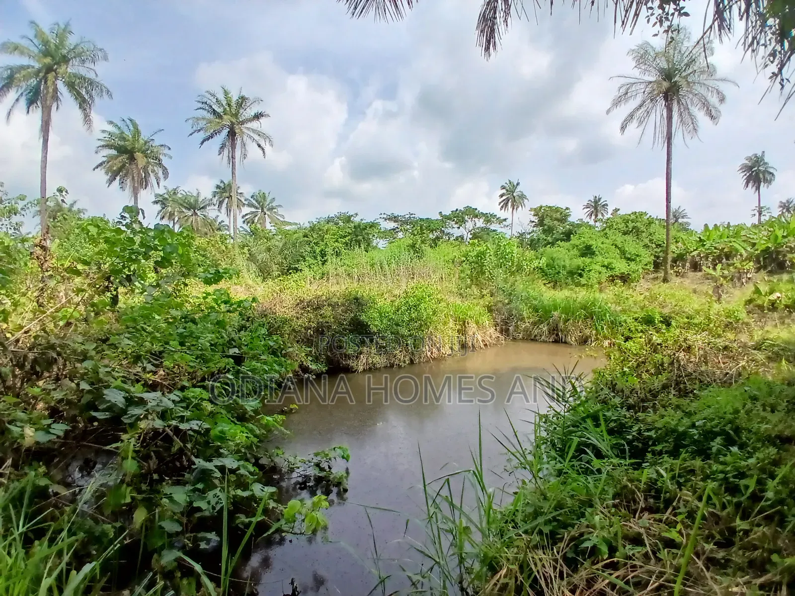 7.5 Acres Wire Fenced With Plantain Stands for Sale at Akufo, Ido Road in Ibadan