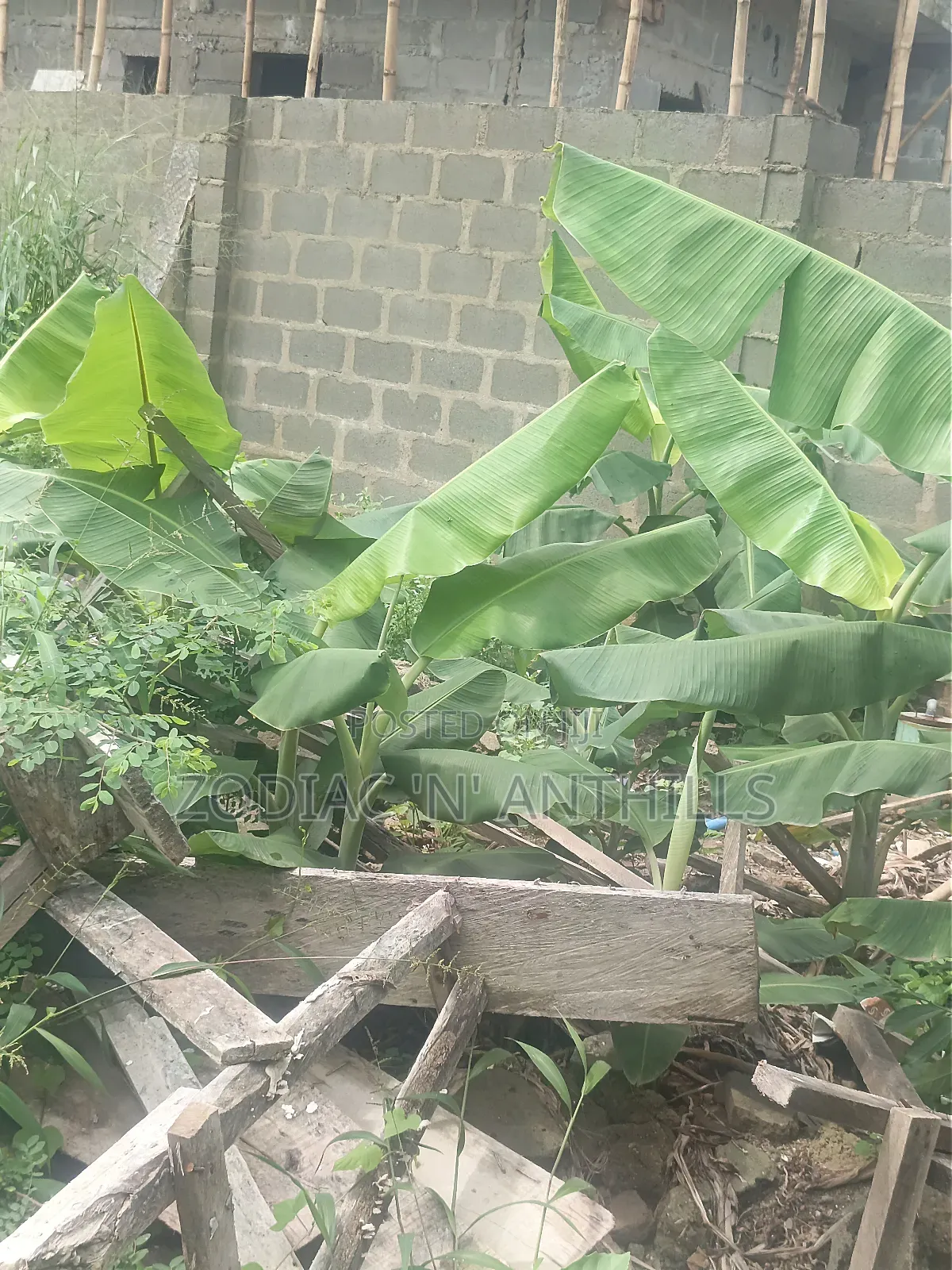277sqm Virgin Land for Sale in Maplewood Estate Oko Oba Agege in Oko-Oba