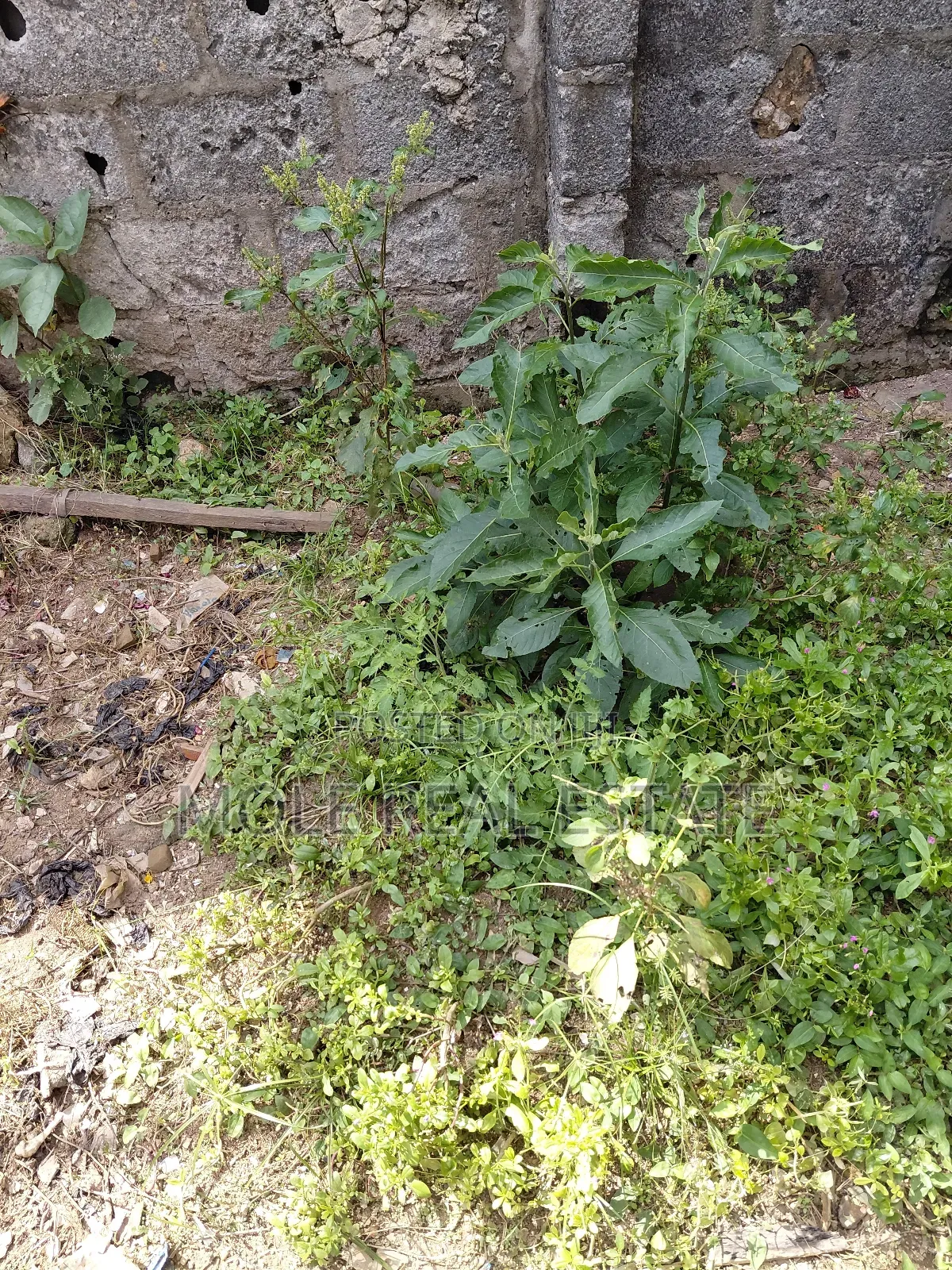 903sqm Plot (Joint Venture ) Ilupeju Lagos State in Ilupeju