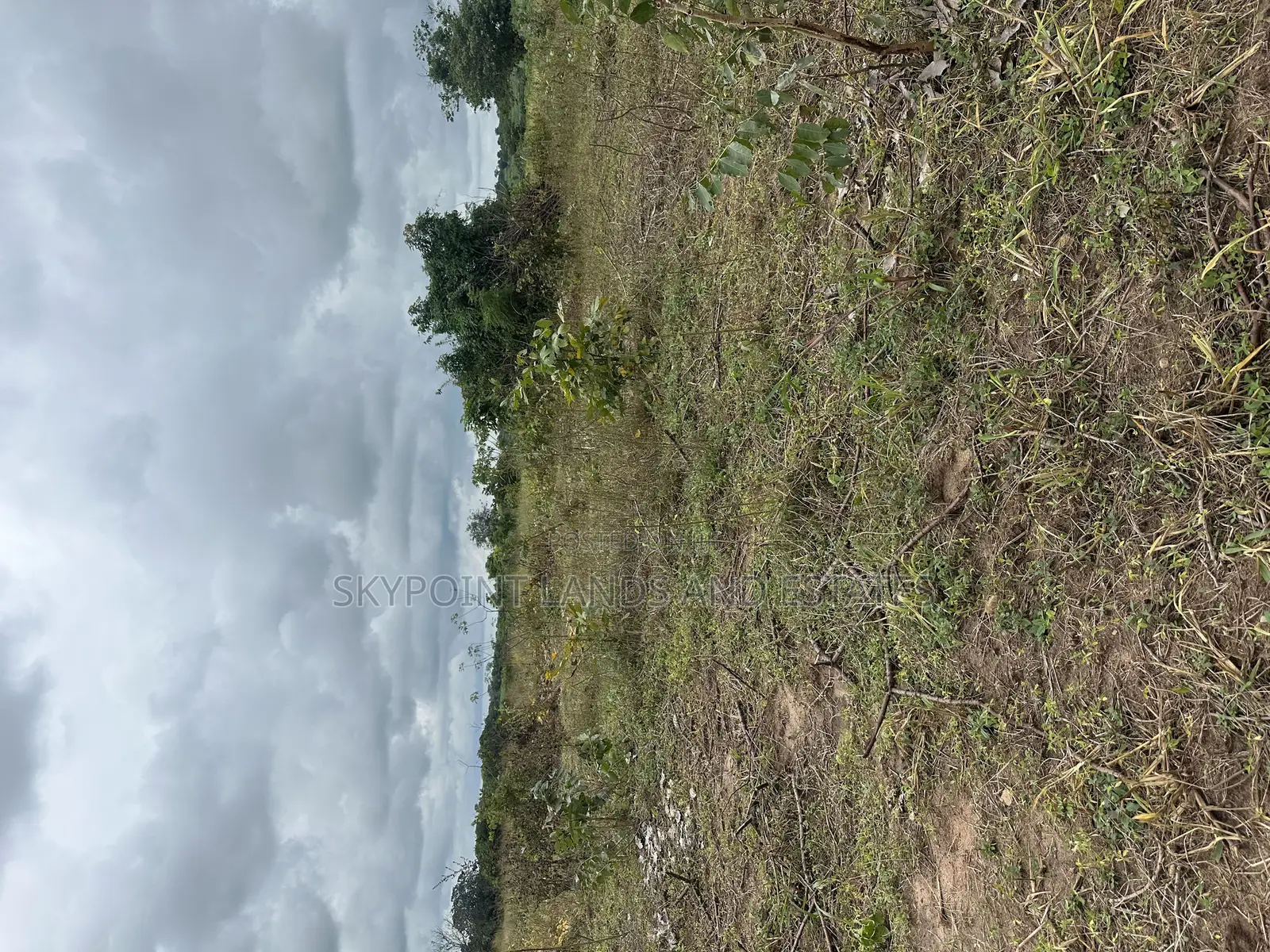 100 Acres of Land Available at Iwoye/Irogun.Via Ilaro Ogun State in Ilaro