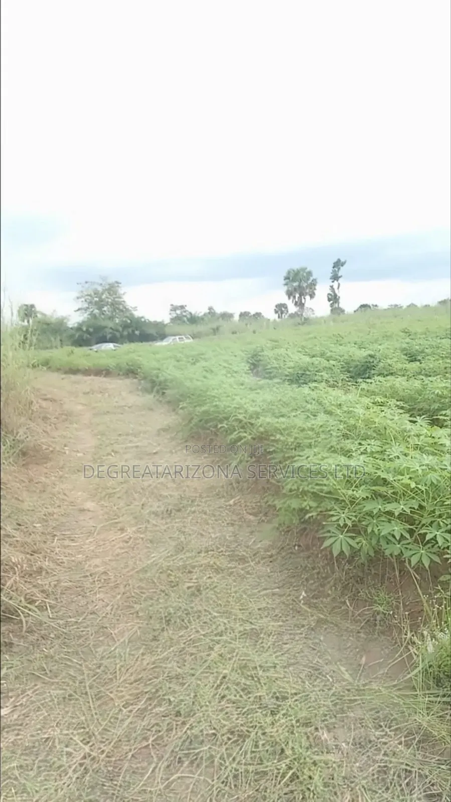 Ifesinachi Layout by Triveland, Ukwulu in Dunukofia