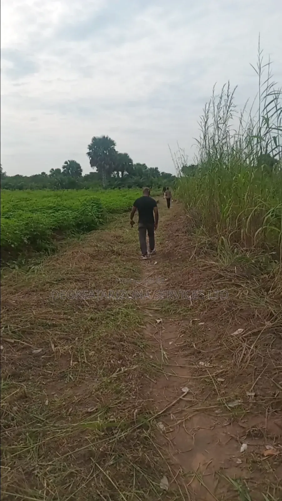 Ifesinachi Layout by Triveland, Ukwulu in Dunukofia