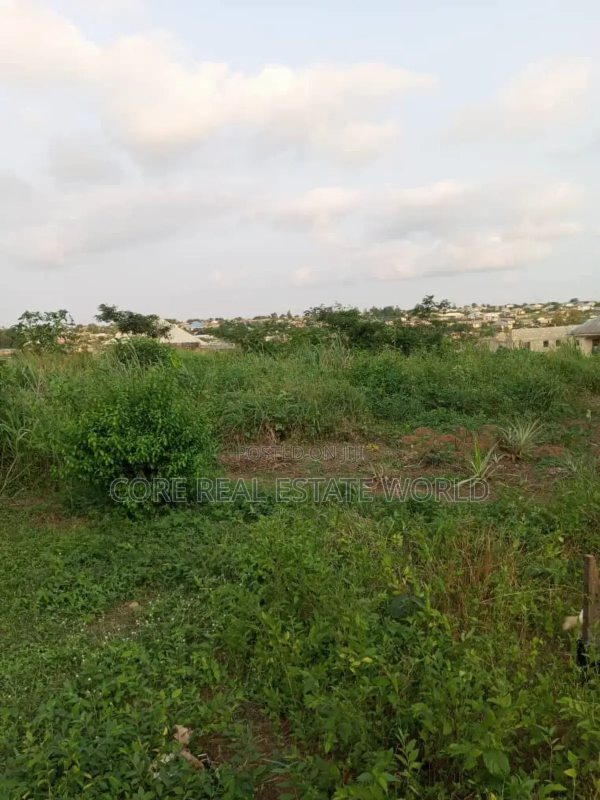 Enugu 9th Mile Genuine Land in Aninri