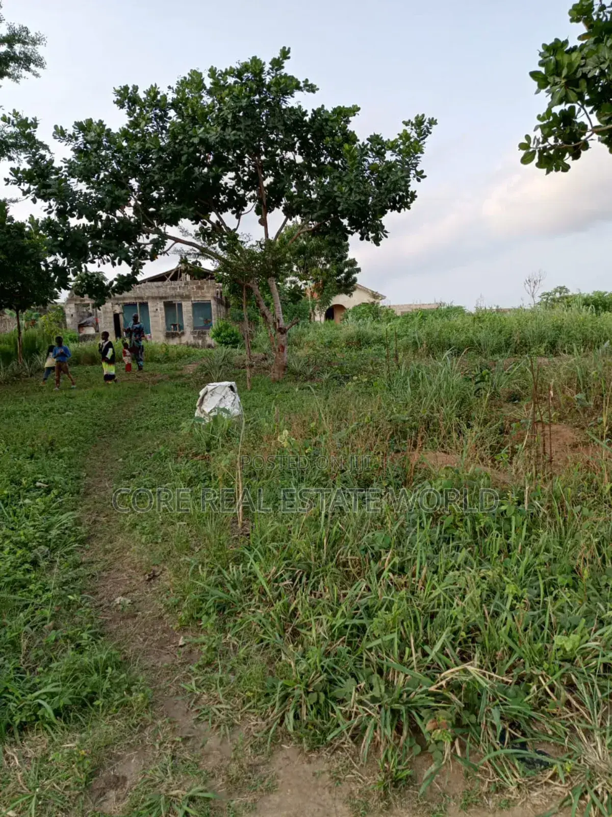 Enugu 9th Mile Genuine Land in Aninri