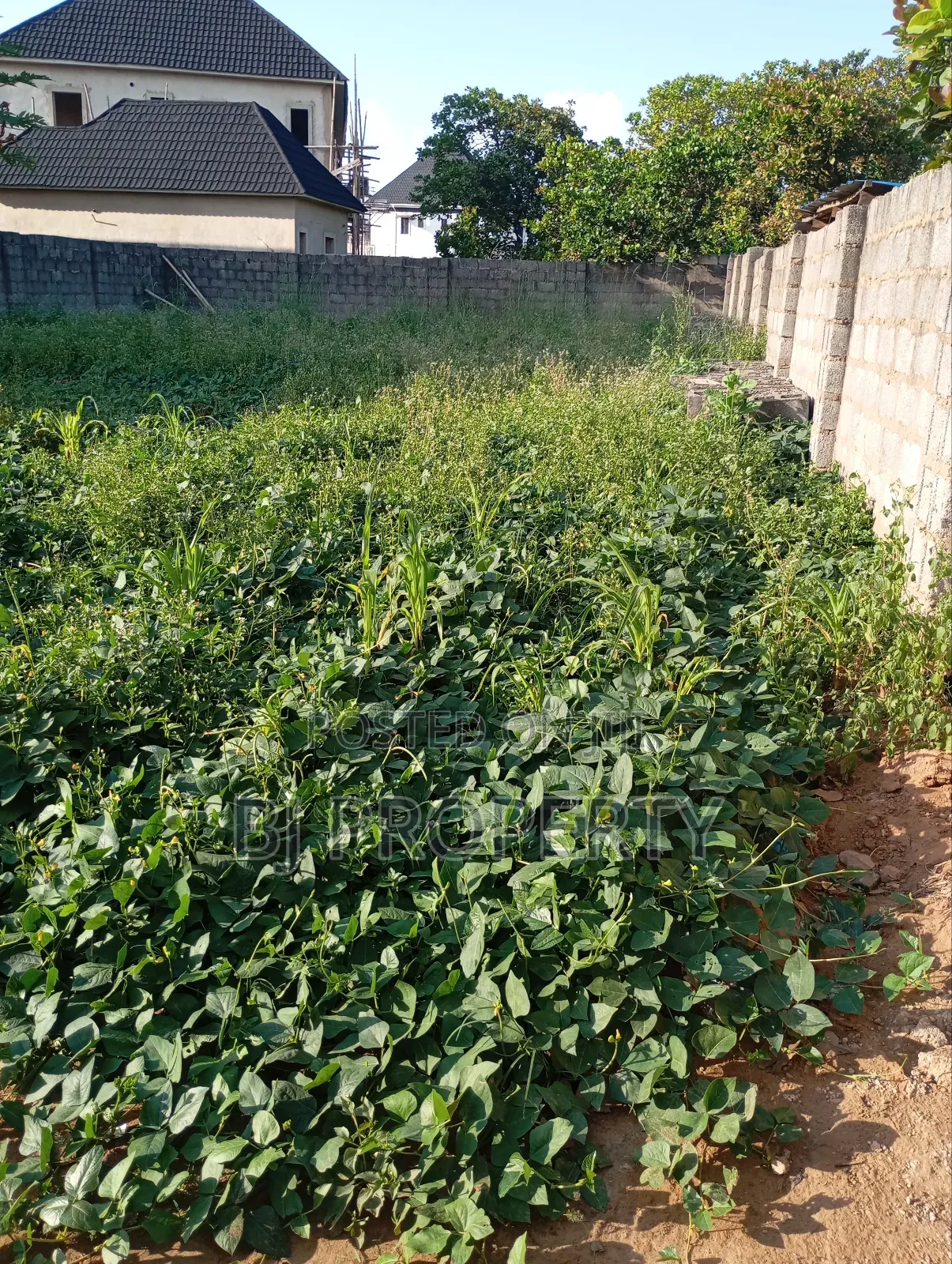 Residential Land for Sale at F O 1 in Kubwa
