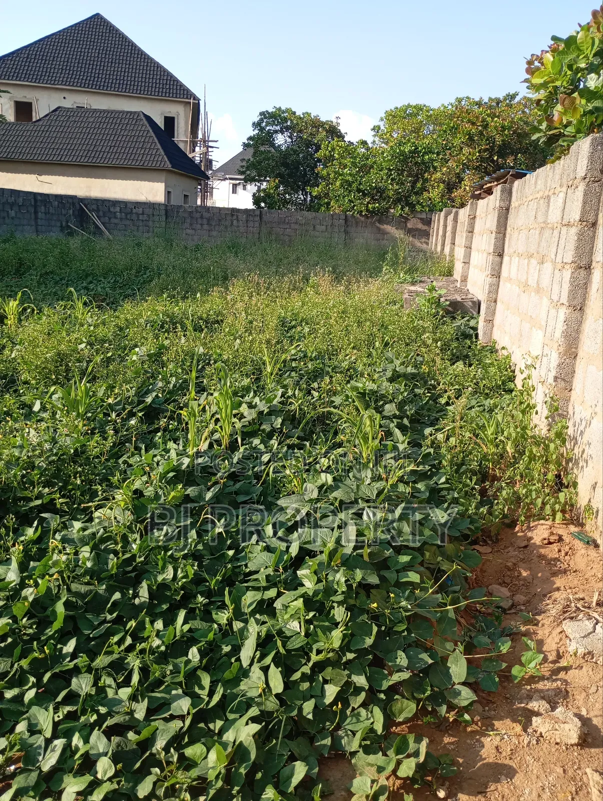 Residential Land for Sale at F O 1 in Kubwa