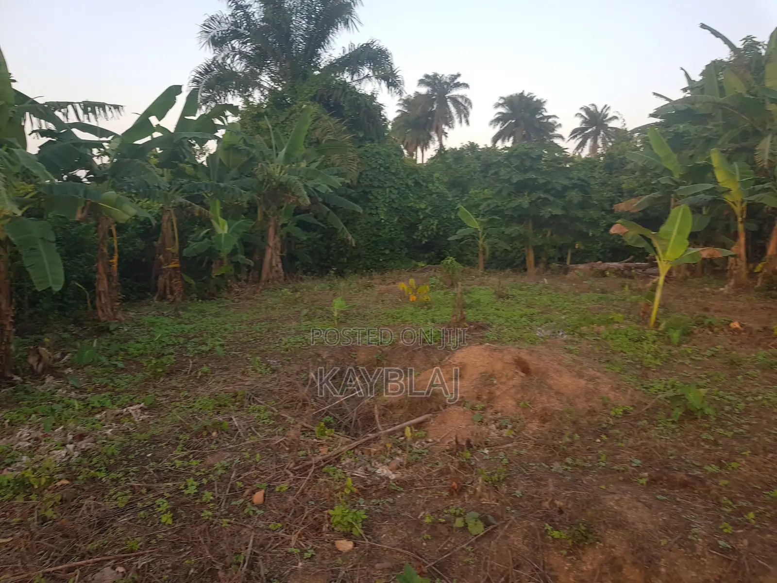 A Plot of Land for Sell at Prime Area in Fashina, Ile-Ife. in Ife