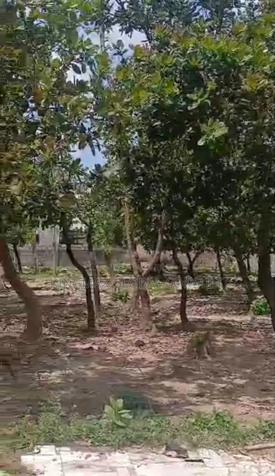 Residential Land Plot Measuring About 1,444.93sqm for Sale in Kaura