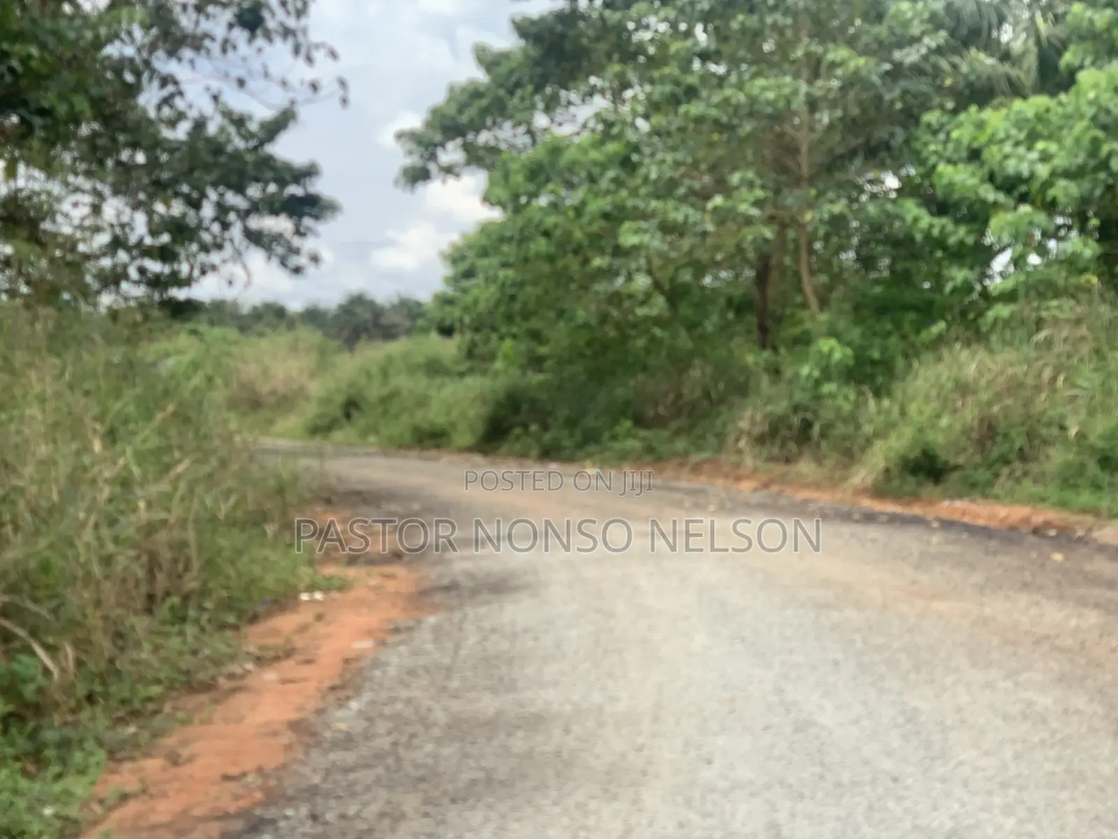 51plots at Umuokanne(7mins Drive to Futo Junction) for Urgent Sale in Imo State