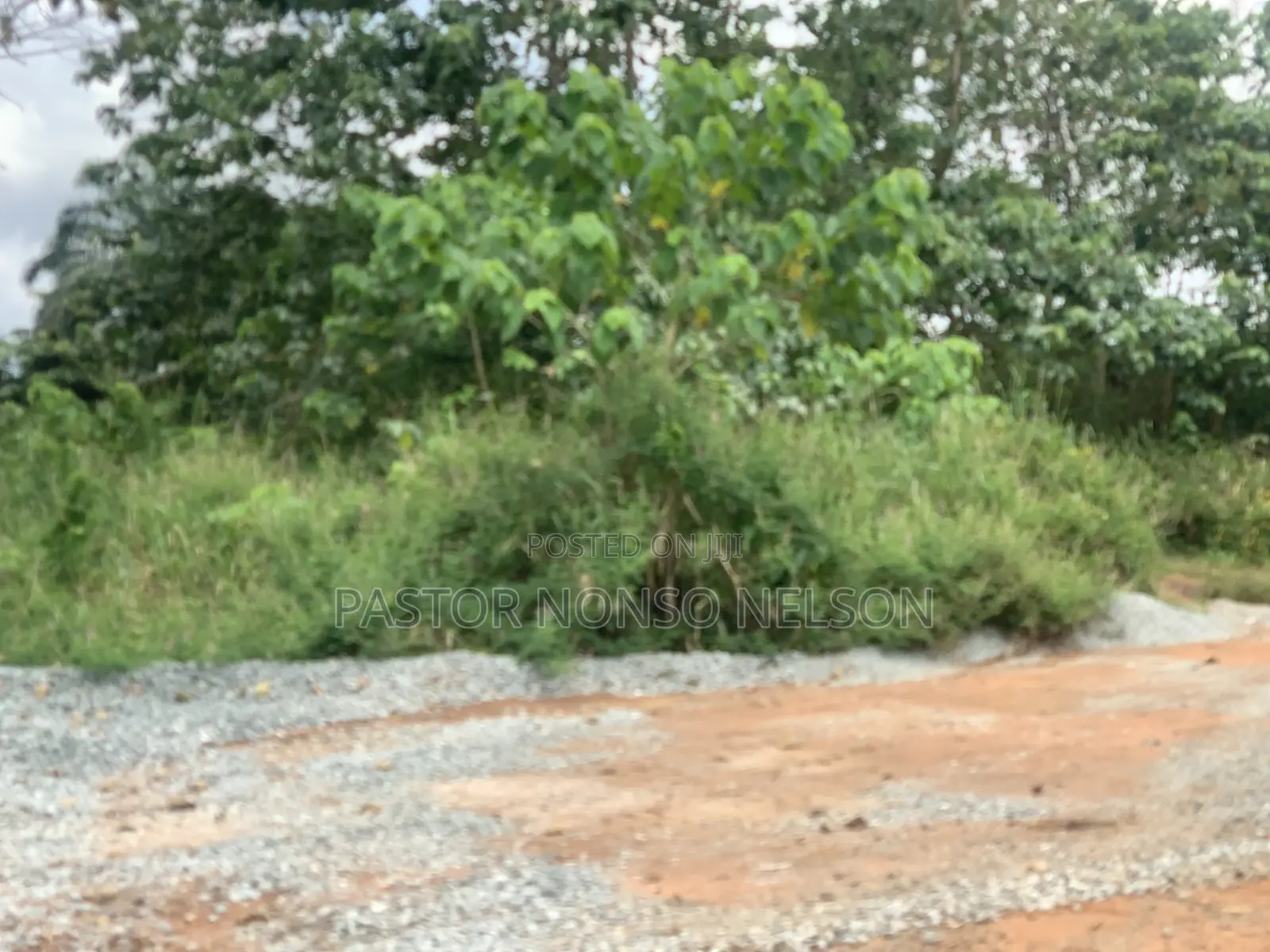 51plots at Umuokanne(7mins Drive to Futo Junction) for Urgent Sale in Imo State