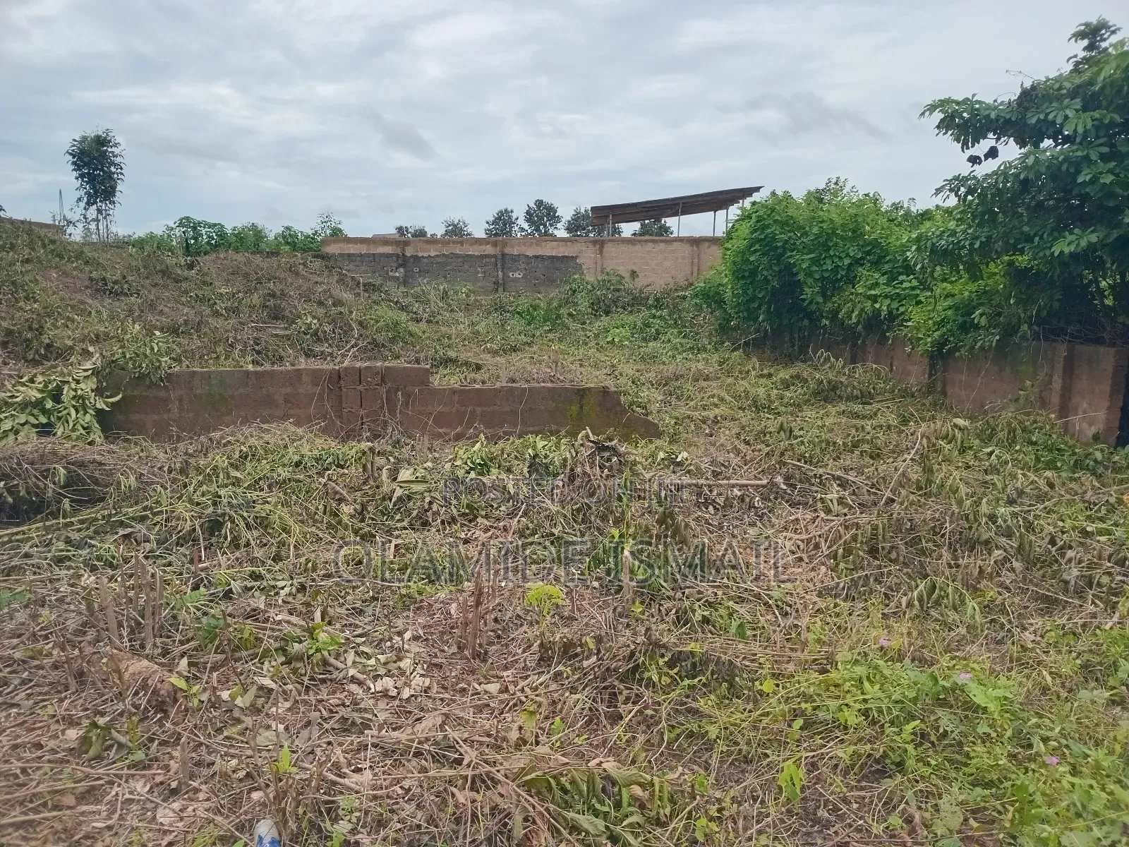 2plots Damico in Ife