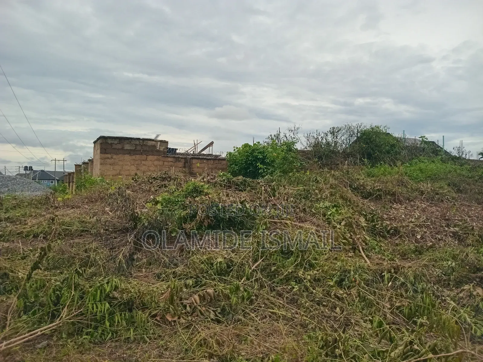 2plots Damico in Ife