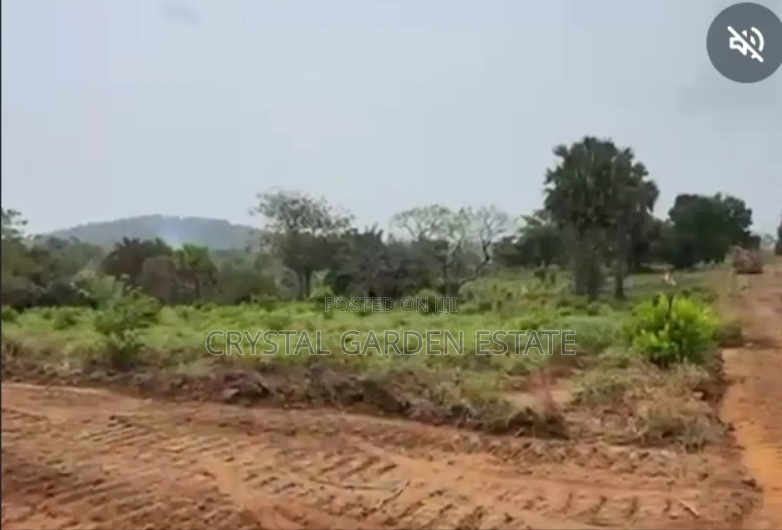 50x100sq,Meter:Land for Sale Ogwashi Uku Phase (1). in Ugheli