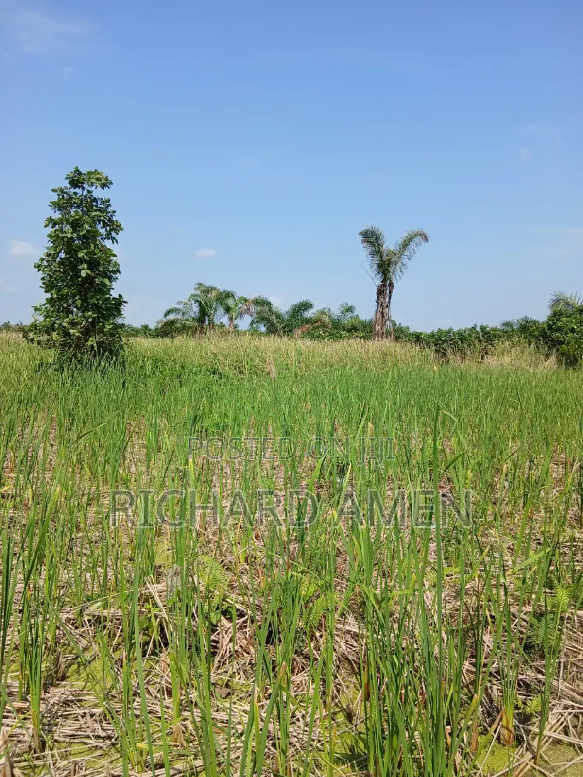 2 and Half Plot of Land Distress Sale in Sangotedo